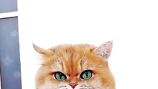What are you talking?