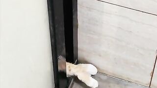 I guess you want to shower together!!