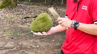 Kupas durian enak, manis , legit