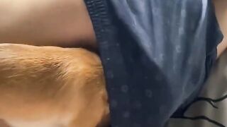 Funny dog looks for ????