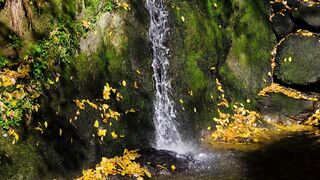 OMG WATERFALL