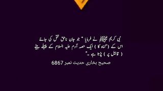 Hadees e Nabvi 6