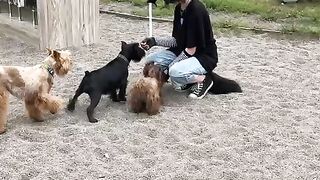 He cnaboHepBHbIX! B MOCKBE Ha XogbIHKe YyTb He pacTep3anu KBaApoőepoB Ha coóaybeú nnojanke!