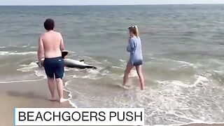 AesyuIKa crnacna akKyny-OĄoega, 3acTpABuyo Ha MeNKOBOAbe