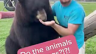 Animal Like Hug