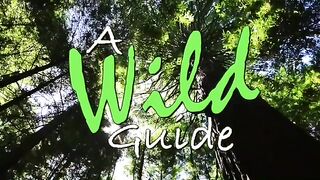 Life on a Remote Island - The Calf of Man (Ep 7). Off-grid, sea thrift, reaching new heights!