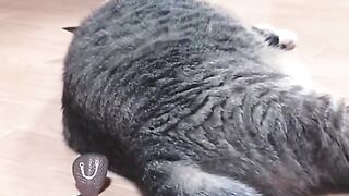 While sleeping, suddenly disturbed....