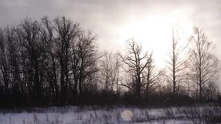 ESCAPE FROM WOLVES IN A TREE HUT | SINGLE OVERNIGHT