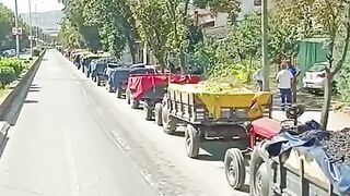 НА ГРОЗДОБЕР  В СЕВЕРНА МАКЕДОНИЯ