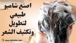 طريقة عمل شامبو طبيعي بمكون واحد فقط