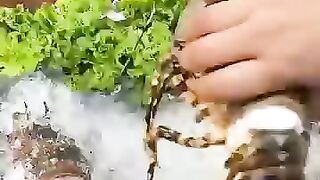 อาหารที่น่าตื่นตาตื่นใจ อาหารเกาหลี (초서형 서왕 붕어빵) 4