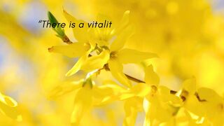 Positive Motivation Quotes of the day #76