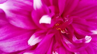 The natural beauty 2