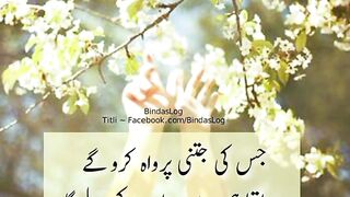 beautiful Urdu quotes //heart touching Urdu quotes //motivational Urdu quotes //Golden Words