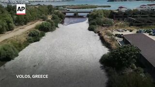 Over 100 tons of dead fish found in Greece linked to climate issues