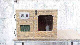 The little incubator