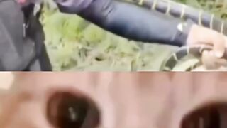 meme ????