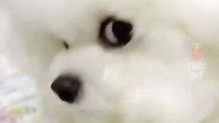 cuteness 5