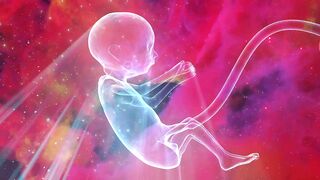 The life of baby inside the womb