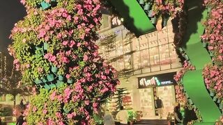 Garden vlog nice gate with flower
