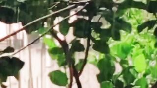 Rain with beautiful music। song