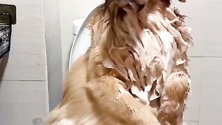 Funny dog give extra expression