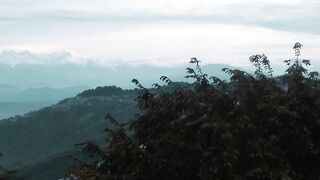 Darjiling travel vlog from Faysal Dairy #travel vlog