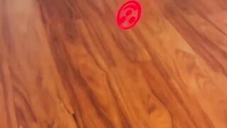 funny animal video 12