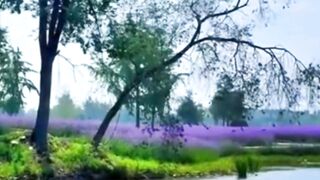 Beautiful nature 208