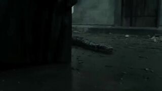 Harry Potter Is Alive - Harry Potter And The Deathly Hallows Part 2