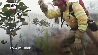 Firefighters struggle to control the largest forest fire that has ravaged Ecuador in recent years