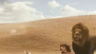 WILDEST DREAMS
