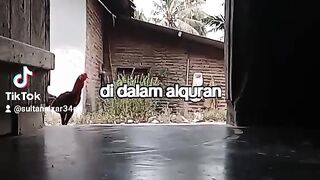 Renungan hati 3