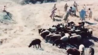 Payam Prophet Yusafe Hadees Shareef Epi 4/4