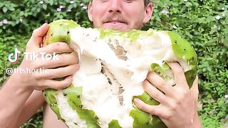Cutting Fruit 2