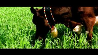 Tujhe Dekha To Ye Jaana Sanam-DDLJ Song Full [HD] - YouTube