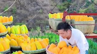 Best video 137