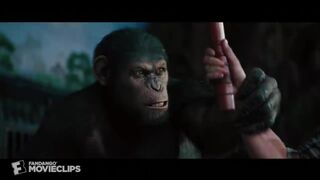Beast (2024) - Brutal Lion Fight Scene - Movieclips byon Febspot