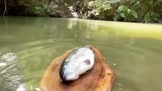 AMazing outdoor food cold 2