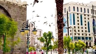 Ek_GunahGar_Ka_WaQiyah_jub_Allah_Tala_ny_usy_Jannati_bnaya_to_wo_hiran_reh_gya____‪????????????