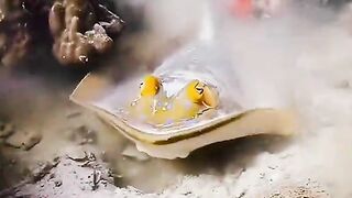 #Beautiful ???? inside water ????????