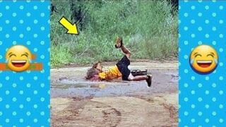 Best Funny Videos Compilation