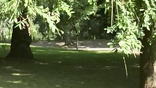 “Into the Heart of the Forest”