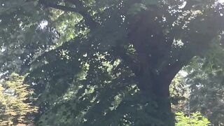 “The Serenity of the Earth”