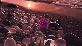 "Sunset Symphony''