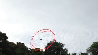 Is it a bird?