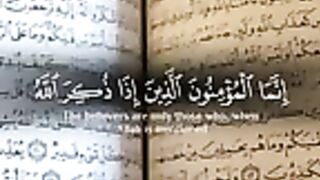 القران الكريم 5