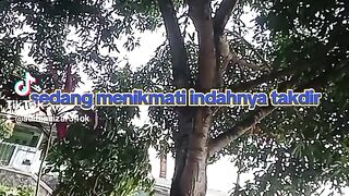 Renungan hati 7