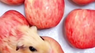 looks its apple ai