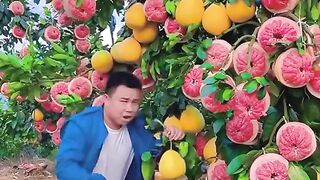 Enjoy video 4